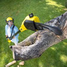 Organic Lawn Care Solutions in Wharton, TX